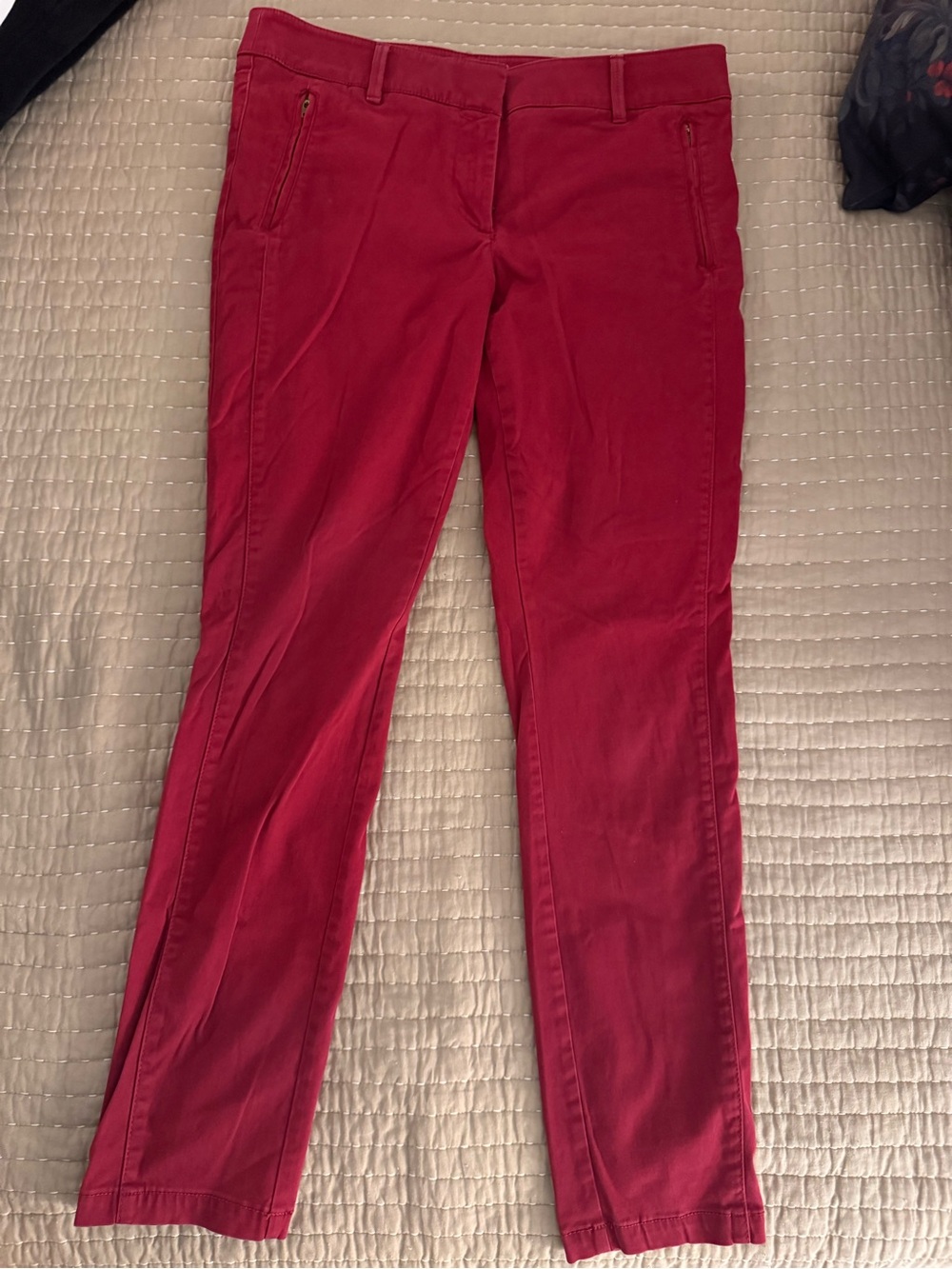 LOFT Red Berry Slim Ankle Pants | Size 12T | Zip Pockets